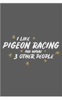 I Like Pigeon Racing and Maybe 3 Other People: Small 6x9 Notebook, Journal or Planner, 110 Lined Pages, Christmas, Birthday or Anniversary Gift Idea