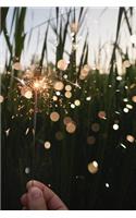 Sparkler in the Green Field: 150 Page Lined 6 X 9 Notebook/Diary/Journal