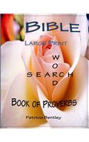 Bible Large Print Word Search