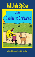 Tallulah Spider Meets Charlie the Chihuahua