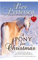 Pony for Christmas