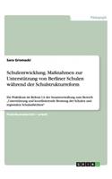 Schulentwicklung. Maßnahmen zur Unterstützung von Berliner Schulen während der Schulstrukturreform: Ein Praktikum im Referat I A der Senatsverwaltung zum Bereich "Unterstützung und koordinierende Beratung der Schulen und regionalen Schulaufsichten"(German)