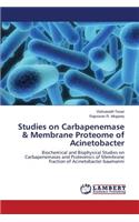 Studies on Carbapenemase & Membrane Proteome of Acinetobacter