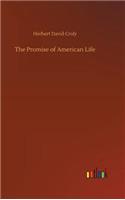 Promise of American Life