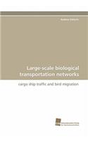 Large-scale biological transportation networks