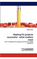 Making Eu Projects Successful - What Matters Most