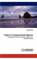 Topics in Exponential Spaces