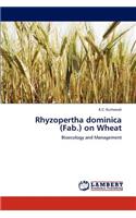 Rhyzopertha dominica (Fab.) on Wheat