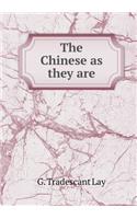 The Chinese as They Are
