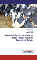 Bioavailable Macro Minerals from Indian Feeds in Crossbred Calves