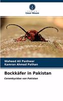 Bockkäfer in Pakistan