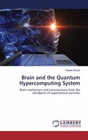 Brain and the Quantum Hypercomputing System