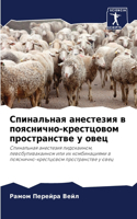 Спинальная анестезия в пояснично-крестцо