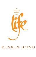 Little Book of Life