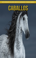 Caballos - Datos interesantes para niños sobre estos sorprendentes y poderosos animales