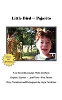 Little Bird - Pajarito