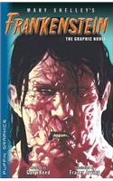 Frankenstein: The Graphic Novel