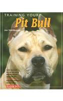 Training Your Pit Bull