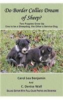 Do Border Collies Dream of Sheep? Full Color Edition