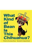 What Kind of Bean Is This Chihuahua?