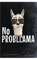 No ProbLlama