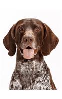 German Shorthaired Pointer Notebook