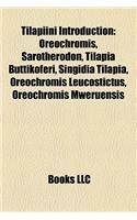 Tilapiini Introduction: Oreochromis, Sarotherodon, Tilapia Buttikoferi, Singidia Tilapia, Oreochromis Leucostictus, Oreochromis Mweruensis