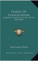 Phases Of Convocation: Anglican Synods, A.D. 601 To A.D. 1860 (1860)(French)