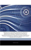 Articles on Ranunculus, Including: Ranunculus Asiaticus, Ranunculus Repens, Ranunculus Lapponicus, Ranunculus Pygmaeus, Ranunculus Glacialis, Ranunculus Bulbosus, Ranunculus Acris, Ra