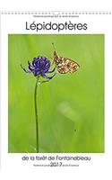 Lepidopteres De La Foret De Fontainebleau 2017: Partez a La Decouverte De 12 Magnifiques Papillons De La Foret De Fontainebleau(Calvendo Nature)