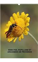 Insectes, Papillons Et Araignees De Provence 2018