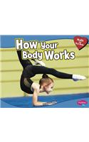 How Your Body Works