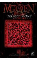 Perfect in One: Practical Jesus - The Perfect Sermon