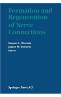 Formation and Regeneration of Nerve Connections
