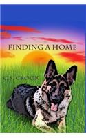 Finding a Home: (Johnny's Adventure)