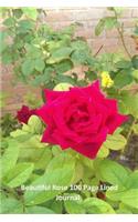 Beautiful Rose: 100 Page Lined rose Journal