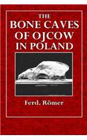 The Bone Caves of Ojcow in Poland