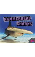 Hammerhead Sharks