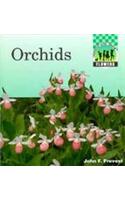 Orchids