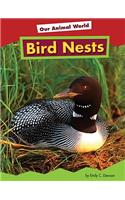 Bird Nests