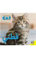 Cat: Arabic-English Bilingual Edition