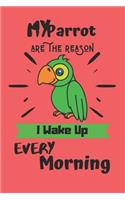 My Parrot are the reason I wake up every morning