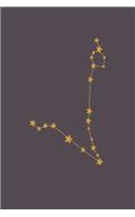 Ruled Notebook / Journal, Pisces Zodiac, Pisces Constellation, Lined Journal, Lined Notebook, Paperback Journal, 6x9