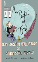 Pocket of Time