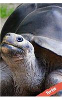 Turtle: Notebook with Animals for Kids 110 Pages, Blank, 6 X 9 (College Ruled) School Notebook