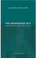 The Endangered Self: Identity and Social Risk(Health, Risk and Society)