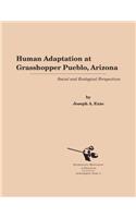 Human Adaptation at Grasshopper Pueblo, Arizona