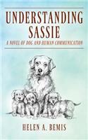 Understanding Sassie