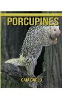 Porcupines: Amazing Fun Facts and Pictures about Porcupines for Kids