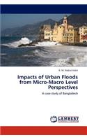 Impacts of Urban Floods from Micro-Macro Level Perspectives